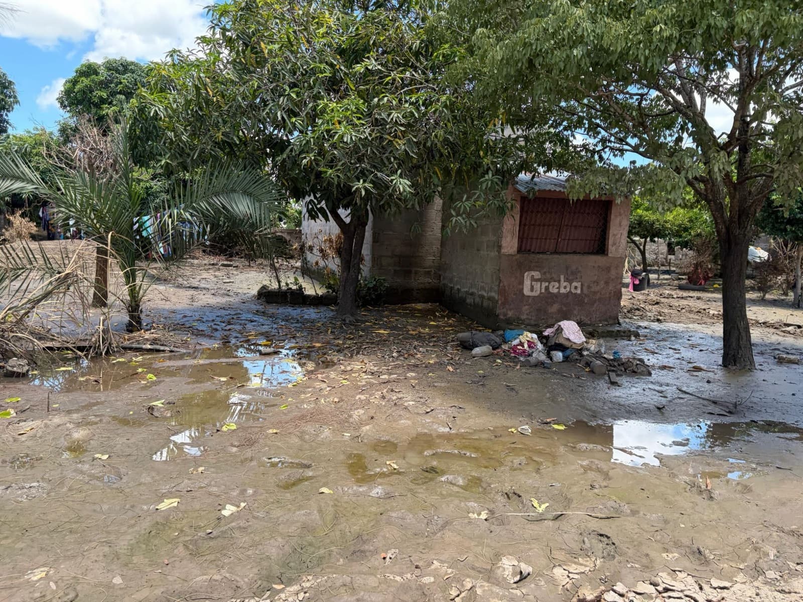 Near You colabora con ayuda de emergencia en Mozambique tras las inundaciones